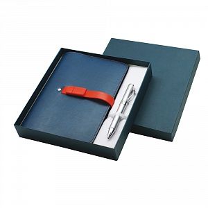 Набор в подарочной коробке: ежедневник в обложке портфолио со съемной  флешкой и ручкой